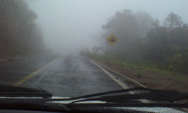 Niebla en una carretera vista desde un coche